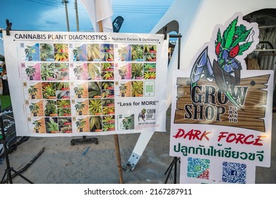 Nakhon Pathom, Thailand. June 11, 2022. Outdoor Cannabis Event In Nakhon Pathom After Thai Government Legalization Of Cannabis. Signage Of Cannabis Plant Growing Information.