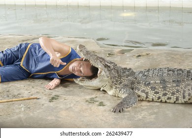 Alligator lying down Images, Stock Photos & Vectors | Shutterstock