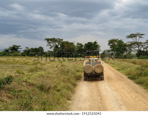 Nakuru, Kenya, Africa - February 24, 2020:\
Rothschild Giraffes crossing the road in front of Safari Jeeps,\
Lake Nakuru, Kenya,\
Africa