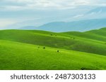 Nalati Grassland beautiful natural valley scenery in Xinjiang, China