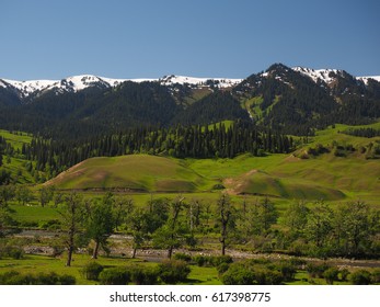 Nalati Grassland,Xinjiang,China