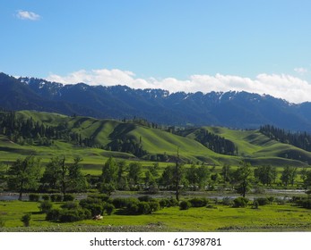 Nalati Grassland,Xinjiang,China