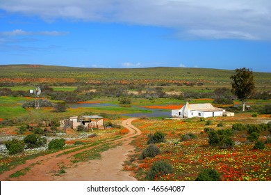 Namakwaland Farm With Flowers In South Africa