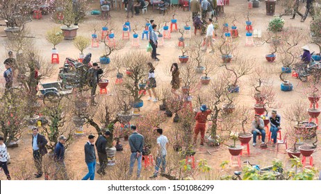 NAMDINH, VIETNAM - january 31, 2019: The bustle of buying flowers at flower market, locals buy flowers for decoration purpose the house on the Lunar New Year in Nam Dinh, Vietnam.