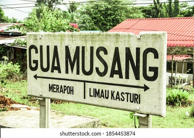 Gua Musang Images Stock Photos Vectors Shutterstock