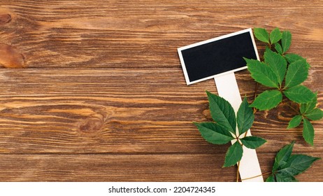 Nameplate For Plants With A Green Branch On A Wooden Background. Garden Marker Indicating A Plant In The Garden. A Reusable Plate Is Designed To Display Information About Planted Crops