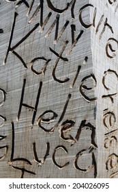 Names carved into wood in a park