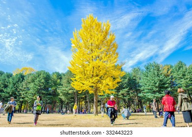 3,876 Autumn Nami Island Images, Stock Photos & Vectors | Shutterstock