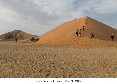 Namib Desert