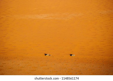 Namib Desert And Dunes