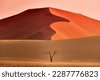 namibia dunes