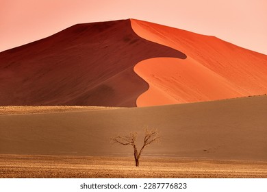 Namibia Dunes sunrise in Desert