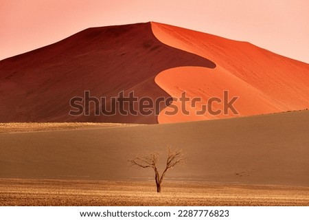 Namibia Dunes sunrise in Desert