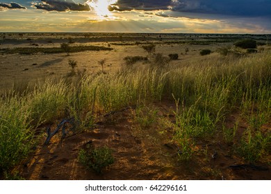 Namibia Kalahari Sunset 