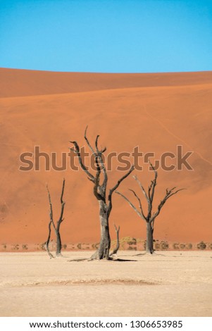 Similar – Dead Vlei Namibia