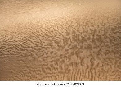 Namibia, The Namib Desert, Graphic Landscape Of Yellow Dunes