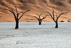 Namibia- Namib-naukluft Park- Dead Trees In Dead Vlei