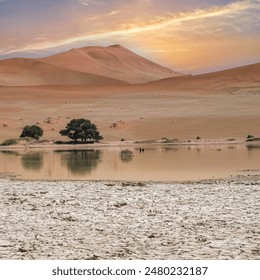 Namibia, reflection of the dunes in the Namib desert, lake in raining season, beautiful landscape in Dead Vlei - Powered by Shutterstock