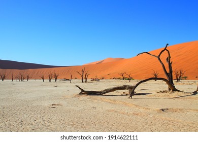 Namibia Sossusvlei Sand Dunes View