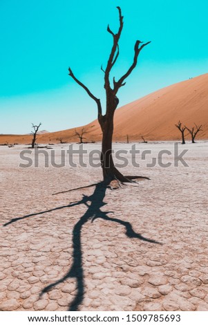 Similar – Einsamkeit Africa Desert