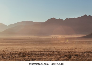 Namibian Desert, Veld 