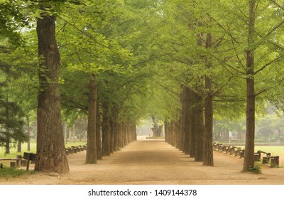 Chuncheon Images, Stock Photos & Vectors | Shutterstock