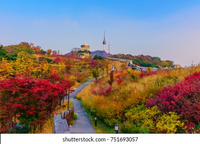 Namsan Park At Autumn In South Korea.