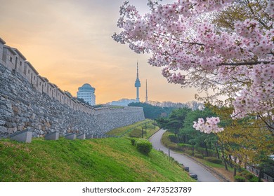 Namsan park and namsan tower in Spring Cherry blossoms bloom in late March-April. Seoul, South Korea. - Powered by Shutterstock