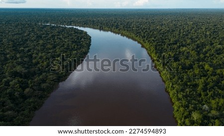 The Nanay River, one of the most important freshwater channels in the Peruvian jungle surrounded by green nature, and is part of the Allpahuayo Mishana Reserve