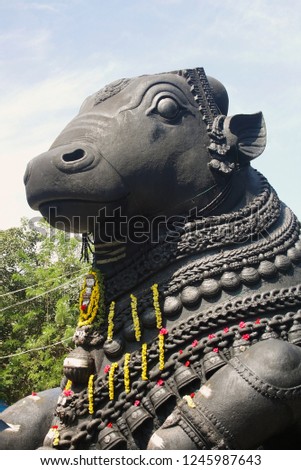 Nandi Bull statue on Sri Nandi Temple,Chamundi Hills, Karnataka,Mysore,India