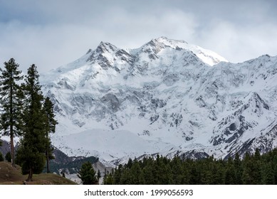 Nanga Parbat From Fairy Meadow