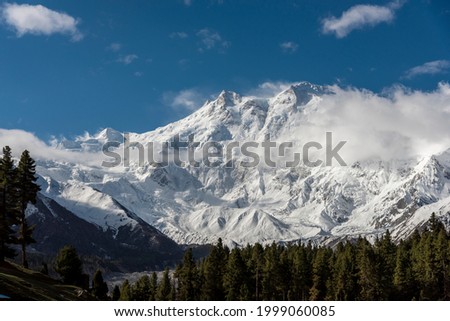 Nanga Parbat from Fairy Meadow