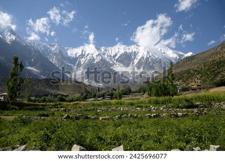 Nanga Parbat  Mountain View from Rupal Valley Gilgit