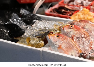 At Nanjichang Night Market in Taipei, a stir-fry stall offers affordable and diverse seafood. This close-up shot captures the fresh fish available, showcasing Taiwan's vibrant food scene. - Powered by Shutterstock