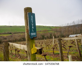 Camel Valley High Res Stock Images Shutterstock