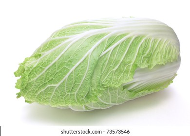 Napa Cabbage