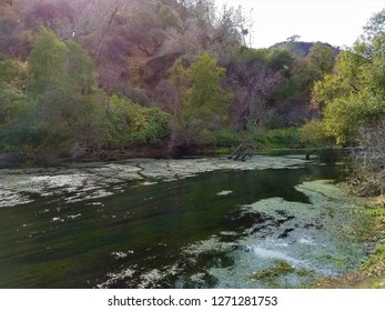 Napa River In Vaca Mountains, Napa County, CA