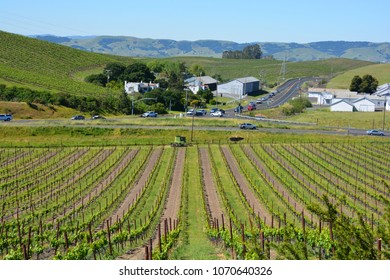 NAPA VALLEY CALIFORNIA USA 04 16 15: Napa Valley AVA Is An American Viticultural Area Located In Napa County,  Napa Valley Is Considered One Of The Premier Wine Regions In The World