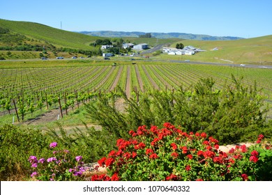 NAPA VALLEY CALIFORNIA USA 04 16 15: Napa Valley AVA Is An American Viticultural Area Located In Napa County,  Napa Valley Is Considered One Of The Premier Wine Regions In The World