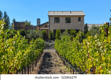 Napa Valley California Vineyard In The Fall