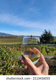 Napa Valley California Winery chardonnay 
