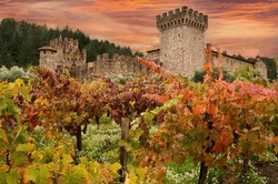 Napa Valley Castle Winery With Vineyard Grape Vines In Beautiful Autumn Colors And A Colorful Sunset Sky.