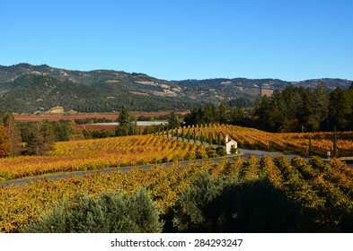 Napa Valley in the Fall