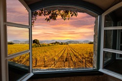 Napa Valley Vineyards In Autumn Colors, Sunrise Sky View Through A Window