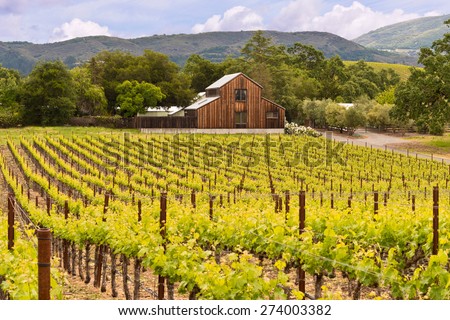 Napa Valley Vineyards, Spring, Mountains, Sky, Clouds, Barn