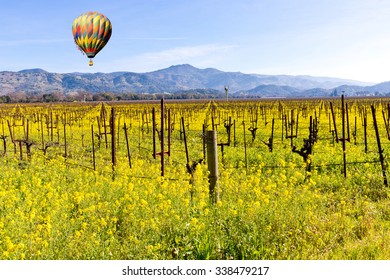 Napa Valley Wine Vineyards, Spring Mustard, Mountains, Hot Air Balloon