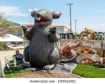 Naperville, IL / USA - May 15, 2019: A Giant Inflatable Rat Marks The Site Of A Labor Union Protest Against Non-union Trades Working At A Construction Site For A New Lazy Dog Restaurant.