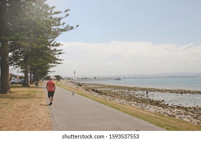 Napier Street View New Zealand