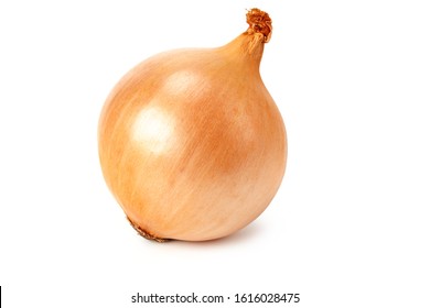 Napiform onion isolated on a white background
