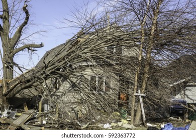 NAPLATE, IL/USA - MARCH 3, 2017: A Small House Seems Overwhelmed By A Fallen Tree In The Aftermath Of An EF-3 (enhanced Fujita Scale) Tornado That Blasted This Small Town On February 28.